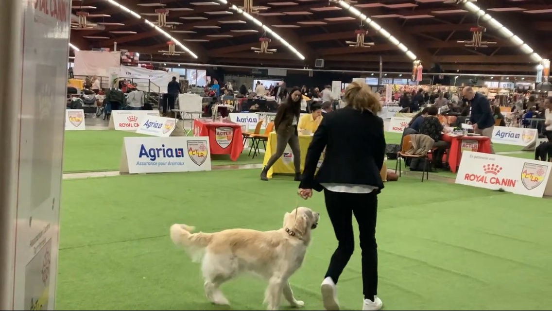 Les expositions