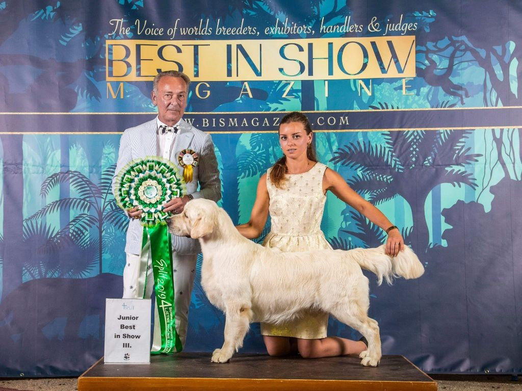 Le fiancé de Sally : "Paddy Navillis Nonpareil" Elevage SHINE YOUR WAY